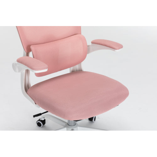 Mesh Office Chair with 3D Adjustable Lumbar Support,