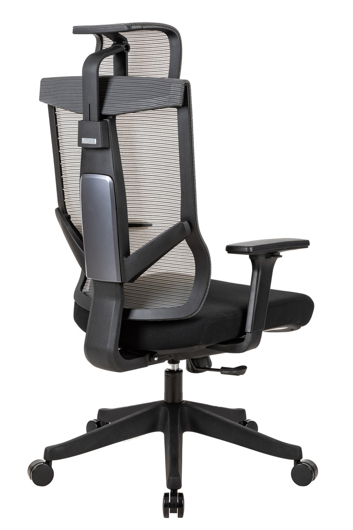 Excustive office chair with headrest and 2D armrest