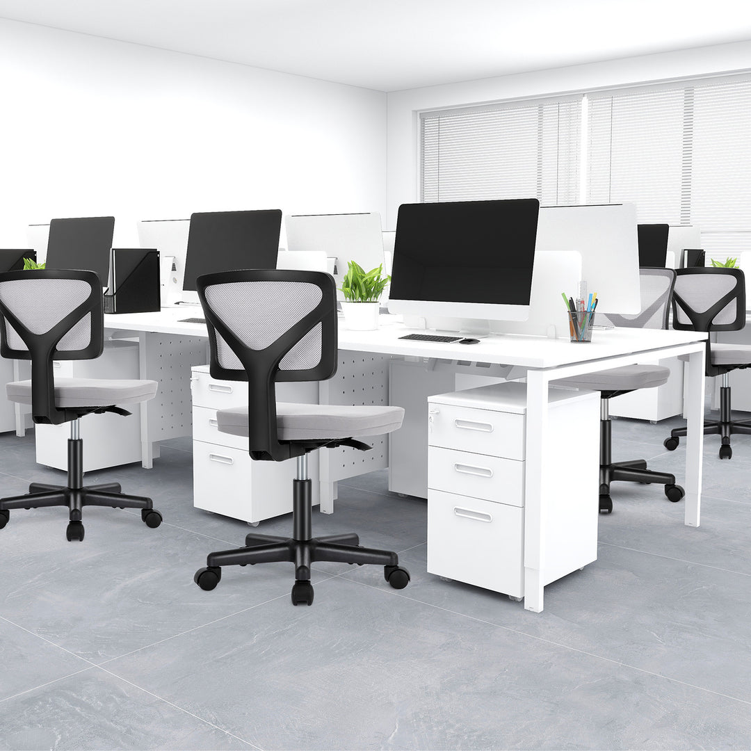 Desk Chair Small Home Office Chair with Lumbar Support