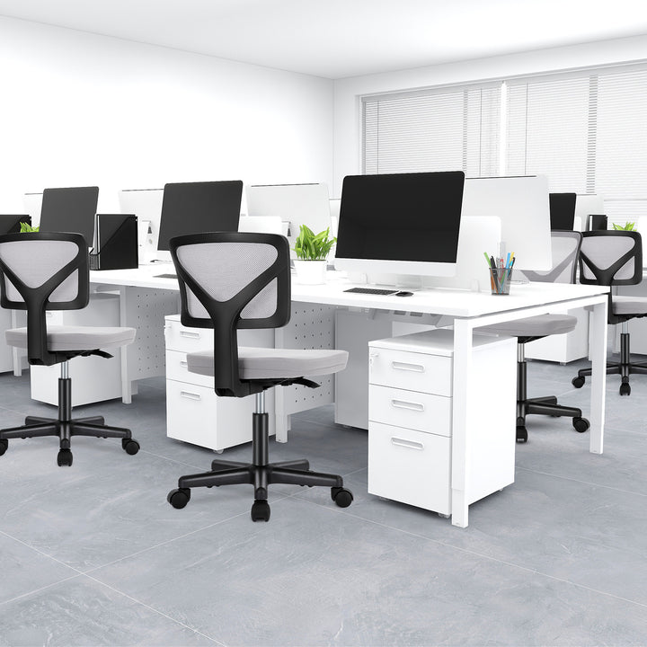 Desk Chair Small Home Office Chair with Lumbar Support