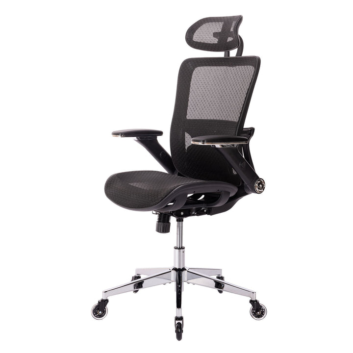 BLACK Ergonomic Mesh Office Chair, High Back - Adjustable Headrest with Flip-Up Arms