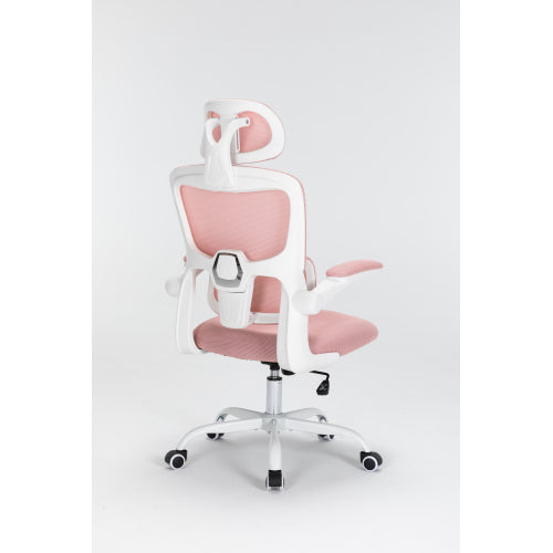 Mesh Office Chair with 3D Adjustable Lumbar Support,