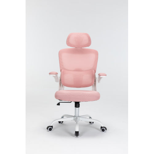 Mesh Office Chair with 3D Adjustable Lumbar Support,