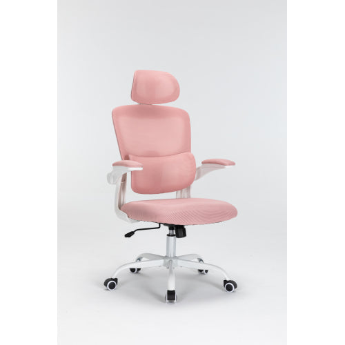 Mesh Office Chair with 3D Adjustable Lumbar Support,