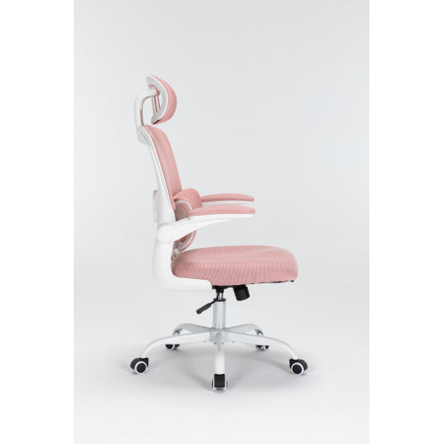 Mesh Office Chair with 3D Adjustable Lumbar Support,