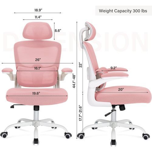 Mesh Office Chair with 3D Adjustable Lumbar Support,