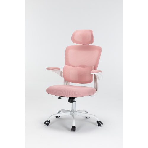 Mesh Office Chair with 3D Adjustable Lumbar Support,