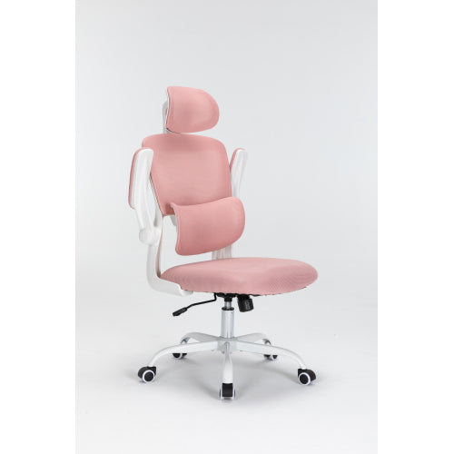 Mesh Office Chair with 3D Adjustable Lumbar Support,